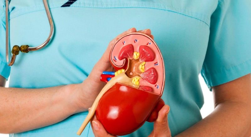 بررسی عملکرد کبد و کلیه در آزمایش‌های شغلی در شرکت آریا پژوهان