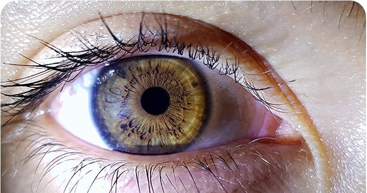 آموزش کارکنان درباره اهمیت بینایی شغلی در مرکز تخصصی طب کار آریا پژوهان غرب